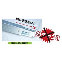TDSコーポレーション トラック用ミニビームシステム 使用範囲：1770～1940　1本（直送品）