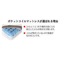 【軒先渡し】友澤木工 圧縮ロールポケット マットレス 幅1000×奥行1950×高さ170mm マットレス：ホワイト 1本（直送品）