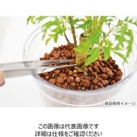 藤原産業 千吉 ピンセット 直 チョク 1セット(4個)（直送品）