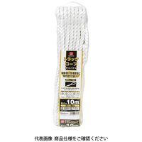 藤原産業 SK11 トラックロープ ポリエステル SKRーP910 1セット(2個)（直送品）