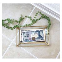 ケーアイジャパン トレイ キュレット 長方形 ガラストレイ インテリア おしゃれ アンバー 353829 1個（直送品）