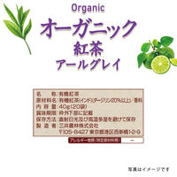 日東紅茶 オーガニック紅茶 アールグレイティーバッグ 1個（20バッグ入）