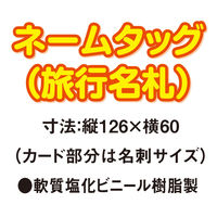 共栄プラスチック ネームタッグ(旅行名札) バイオレット C-80-5-V 1セット(5枚×10)