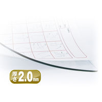 共栄プラスチック 硬筆用ソフト透明下敷 B5 NO.1200 1セット(10枚)