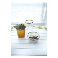 ケーアイジャパン 小物収納 ビジューガラスポットボウル S ガラス製 353855 1個（直送品）