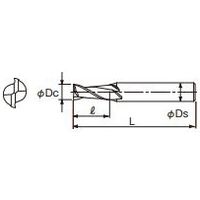 不二越 AG ミル 2枚刃 ミディアム 2AGEM19 1本（直送品）