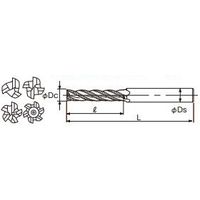 不二越 SGーFAX ラフィング エンドミル ロング SGFREL 10 SGFREL10 1本（直送品）