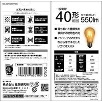 磁気研究所 LED電球 40W相当 全方向 1.5万時間タイプ 暖色 E26口金 HDLEDY40W2700K 1個