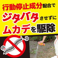 ムカデ キンチョール ムカデ対策 駆除 スプレー 侵入予防 300mL KINCHO キンチョー 1個