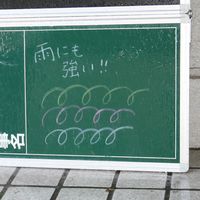 日本理化学工業 レインボーチョーク 白 RAC-10-W 1個