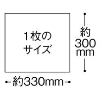 【からだふき/ドライ】尚美堂　FUJI　ドライタオル　27600　1箱（100枚入）（わけあり品）