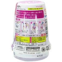 小林製薬 サワデー つめ替用 こころ落ち着くラベンダーの香り 1個（直送品）