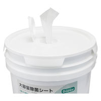 ダイト 大容量除菌シート ウェットティッシュ ノンアルコール除菌 2500枚入り バケツ 本体 BZ-25001個