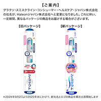 シュミテクト 歯周ダブルケアEX ハブラシ コンパクト ふつう 歯周病ケア 1セット（12本）Haleonジャパン