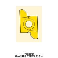 セコ・ツールズ・ジャパン 旋削 溝入れ用チップ 10NR1.0D76CP500 1セット(2個)（直送品）