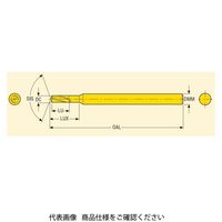 セコ・ツールズ・ジャパン ドリル マイクロドリル SD22ー1.60ー3.20ー3R1 1個（直送品）