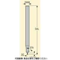 セコ・ツールズ・ジャパン フライス スレッドマスター TMーM2.2X0.45ISOー3R1ーH 1個（直送品）