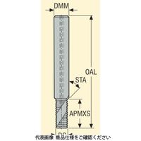 セコ・ツールズ・ジャパン フライス スレッドマスター TMーMF10X1.0ISOー10R1 1個（直送品）