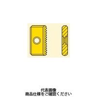 セコ・ツールズ・ジャパン フライス ねじ切り用チップ 13NMS24UNCP500 1セット(2個)（直送品）