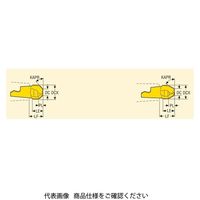 フライス ミニマスター用チップ MM06ー06004ー4515ーE02:T60M MM06-06004-4515-E02T60M（直送品）