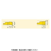 フライス ミニマスター用チップ MM10ー10007ーR04ーMD04:F30M MM10-10007-R04-MD04F30M（直送品）