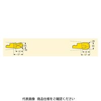 フライス ミニマスター用チップ MM16ー16019ーB90A30ーM06:F40M MM16-16019-B90A30-M06F40M（直送品）