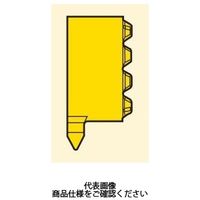 セコ・ツールズ・ジャパン 溝入れ用チップ LCEX0804ーAG60R:CP500 LCEX0804-AG60RCP500 1セット(2個)（直送品）