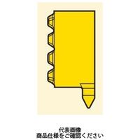 セコ・ツールズ・ジャパン 溝入れ用チップ LCEX1105ーG60L:CP500 LCEX1105-G60LCP500 1セット(2個)（直送品）