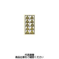 セコ・ツールズ・ジャパン 旋削 ねじ切り用チップ 16V55CP500 1個（直送品）