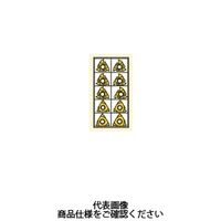 セコ・ツールズ・ジャパン 旋削 ねじ切り用チップ 16V60CP500 1個（直送品）