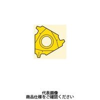 セコ・ツールズ・ジャパン 旋削 ねじ切り用チップ 22NL5ACMECP500 1セット(2個)（直送品）