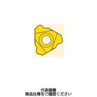 セコ・ツールズ・ジャパン 旋削 ねじ切り用チップ 27ER3H90CP500 1セット(2個)（直送品）