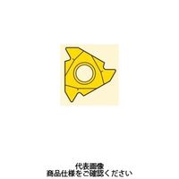 セコ・ツールズ・ジャパン 旋削 ねじ切り用チップ 09NRA60:CP500 09NRA60CP500 1セット(2個)（直送品）