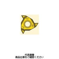 セコ・ツールズ・ジャパン 旋削 ねじ切り用チップ 11NRA60ーA2:CP500 11NRA60-A2CP500 1セット(2個)（直送品）
