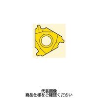 セコ・ツールズ・ジャパン 旋削 ねじ切り用チップ 16ER12ACME:CP500 16ER12ACMECP500 1セット(2個)（直送品）