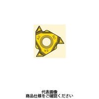 セコ・ツールズ・ジャパン 旋削 ねじ切り用チップ 16ERA60ーA2:CP500 16ERA60-A2CP500 1セット(2個)（直送品）