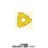 セコ・ツールズ・ジャパン 旋削 ねじ切り用チップ 16NR10APIRD:CP500 16NR10APIRDCP500 1セット(2個)（直送品）