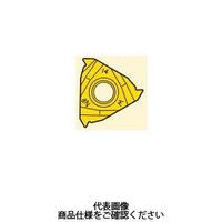 セコ・ツールズ・ジャパン 旋削 ねじ切り用チップ 16NR14WーA:CP500 16NR14W-ACP500 1セット(2個)（直送品）