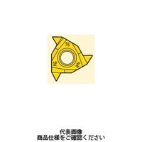 セコ・ツールズ・ジャパン 旋削 ねじ切り用チップ 16NRG55ーA:CP500 16NRG55-ACP500 1セット(2個)（直送品）