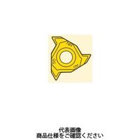 セコ・ツールズ・ジャパン 旋削 ねじ切り用チップ 16NRG55ーA1:CP500 16NRG55-A1CP500 1セット(2個)（直送品）