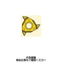 セコ・ツールズ・ジャパン 旋削 ねじ切り用チップ 16NRG55ーA2:CP500 16NRG55-A2CP500 1セット(2個)（直送品）