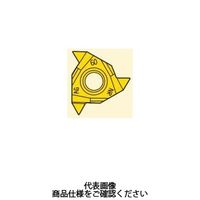 セコ・ツールズ・ジャパン 旋削 ねじ切り用チップ 16NRG60ーA:CP500 16NRG60-ACP500 1セット(2個)（直送品）