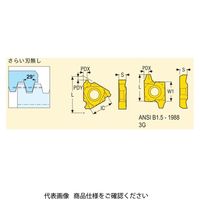 セコ・ツールズ・ジャパン 旋削 ねじ切り用チップ 20ER3ACME:CP300 20ER3ACMECP300 1セット(2個)（直送品）