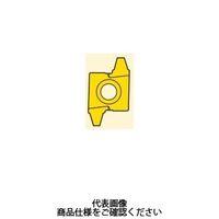 セコ・ツールズ・ジャパン 旋削 ねじ切り用チップ 20NR3ACME:CP500 20NR3ACMECP500 1セット(2個)（直送品）