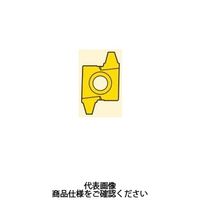 セコ・ツールズ・ジャパン 旋削 ねじ切り用チップ 20NR3STACME:CP500 20NR3STACMECP500 1セット(2個)（直送品）