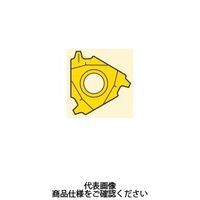 セコ・ツールズ・ジャパン 旋削 ねじ切り用チップ 22ER4.0TR:CP500 22ER4.0TRCP500 1セット(2個)（直送品）