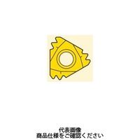 セコ・ツールズ・ジャパン 旋削 ねじ切り用チップ 22NR12UN3M:CP500 22NR12UN3MCP500 1セット(2個)（直送品）