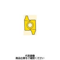 セコ・ツールズ・ジャパン 旋削 ねじ切り用チップ 26ER10.0TR:CP500 26ER10.0TRCP500 1セット(2個)（直送品）