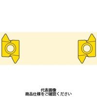 セコ・ツールズ・ジャパン 旋削 ねじ切り用チップ 26ERK60:CP500 26ERK60CP500 1セット(2個)（直送品）