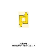 セコ・ツールズ・ジャパン 旋削 ねじ切り用チップ 26NR14.0TR:CP500 26NR14.0TRCP500 1セット(2個)（直送品）